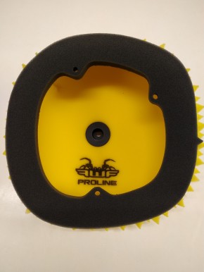 FunnelWeb Proline Airfilter for Beta